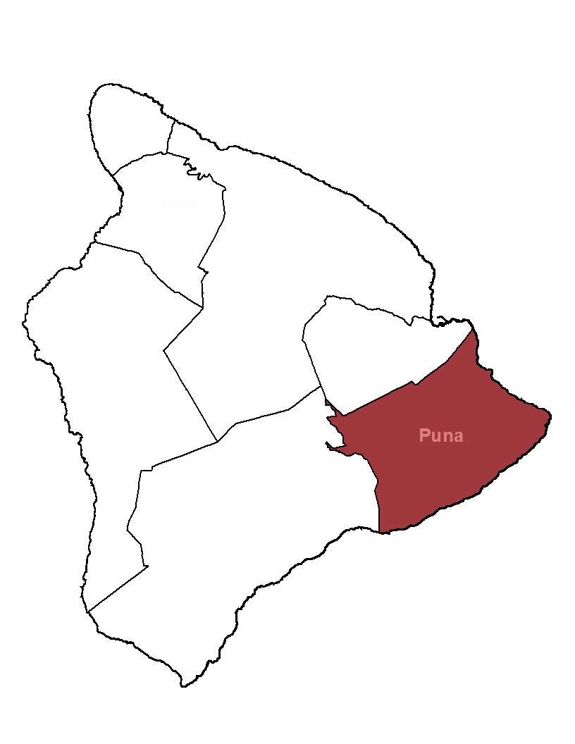 Puna context map